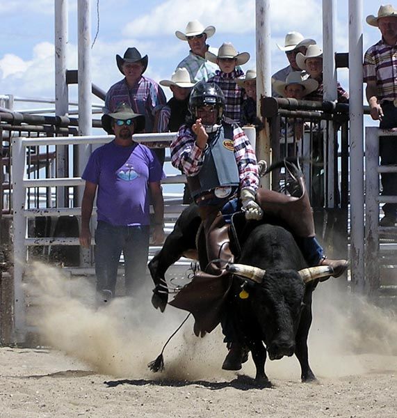 Bull Riding. Photo by Pinedale Online.