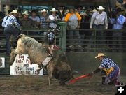 Bull Riding. Photo by Pinedale Online.