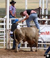 Bull Scramble snatch ribbon. Photo by Pinedale Online.