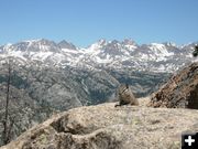 Chipmunk with a view. Photo by Charlie & Shannon from Oregon.