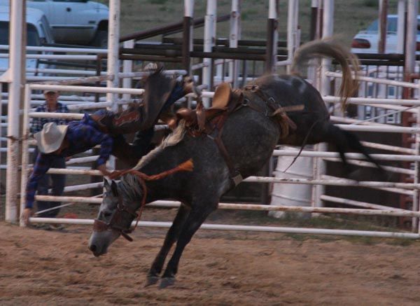 Flying Cowboy. Photo by Pinedale Online.