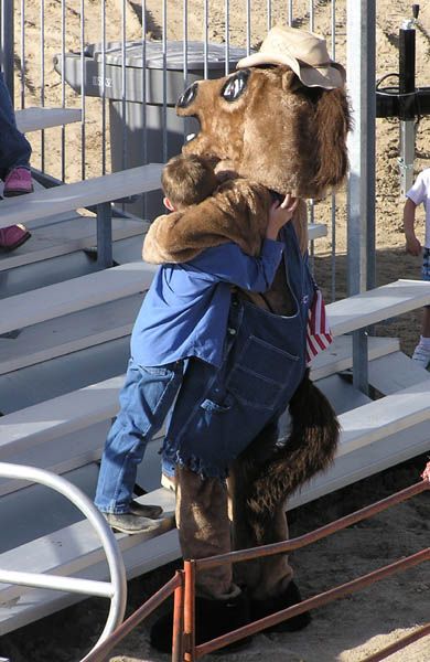 Horse Hug. Photo by Dawn Ballou, Pinedale Online.