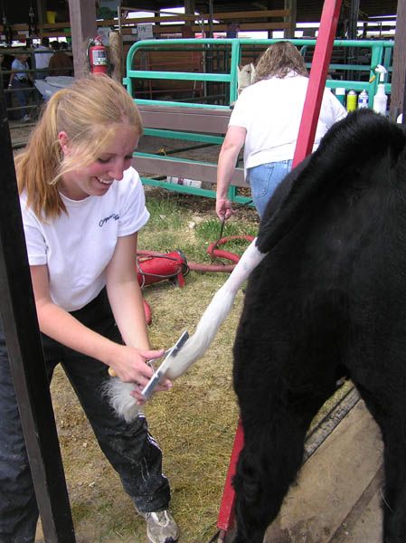 Getting ready for judging. Photo by Pinedale Online.