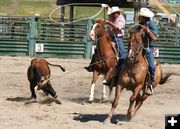 Turn for the Heeler. Photo by Pinedale Online.