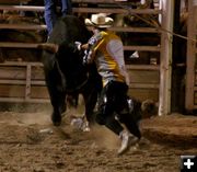 Getting bull off the cowboy. Photo by Pinedale Online.