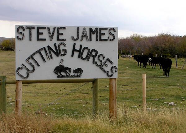 Local Ranches. Photo by Pinedale Online.