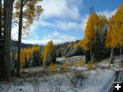 Fall Colors. Photo by Green River Outfitters.