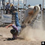 Chuckwagon Days Sponsor. Photo by Pinedale Online.