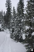 Lots of snow. Photo by Arnold Brokling.