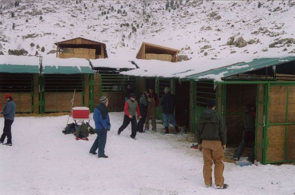 Elk capture area. Photo by Cat Urbigkit.