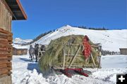 Hay Wagon. Photo by Barbara Ellwood.