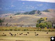 Noble Basin. Photo by Pinedale Online.