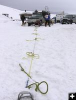 Sled team lineup. Photo by Dawn Ballou, Pinedale Online.