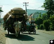 Life in the Phillipines. Photo by Burleigh Binning.