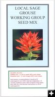 New Sage Grouse Seed Brochure. Photo by .