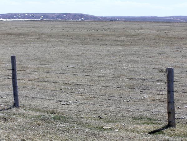 Antelope obstacle. Photo by Pinedale Online.