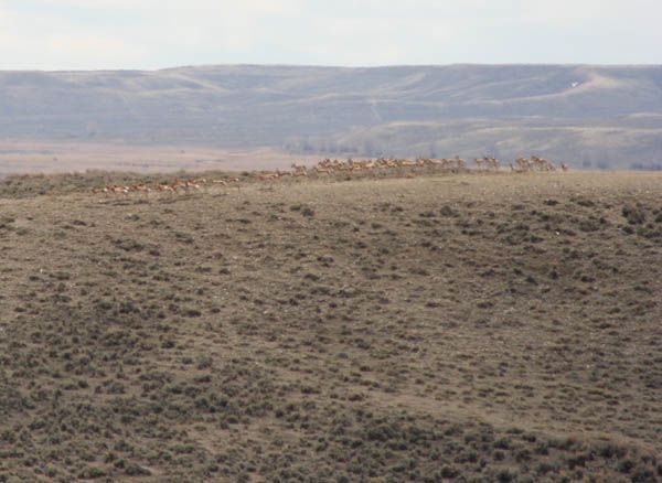 Start off to the left. Photo by Clint Gilchrist, Pinedale Online.