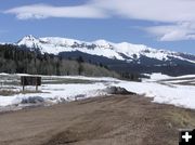 Road still snowed in. Photo by Pinedale Online.