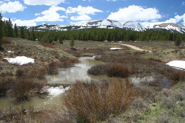 Bare Creek Dams. Photo by Pinedale Online.