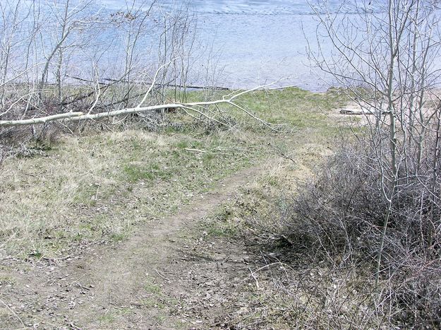 Beaver Trail. Photo by Pinedale Online.