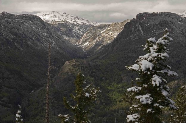 Pine Creek Canyon late May. Photo by Dave Bell.