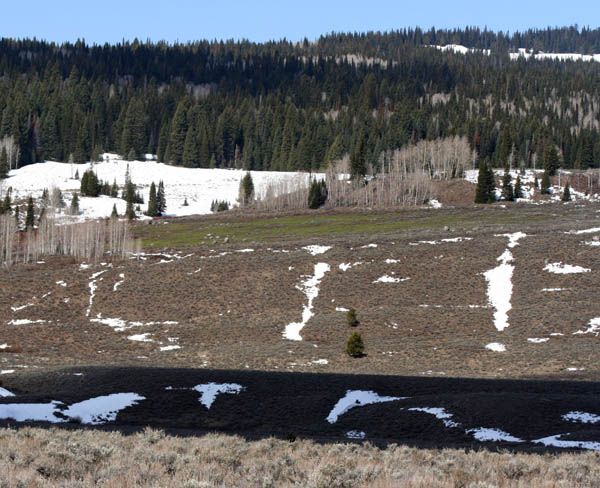 Green Spring Meadow. Photo by Clint Gilchrist, Pinedale Online.