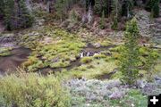 Late Stage Beaver Pond. Photo by Pinedale Online.