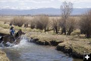Over the slew ditch and through the willows to Sullivan's branding we go. Photo by Tara Bolgiano.