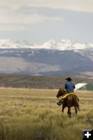 Joe Gillis heads to the ranch for lunch. Photo by Tara Bolgiano.