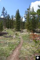 Trails are open. Photo by Pinedale Online.