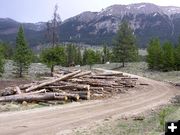 Log decks. Photo by Dawn Ballou, Pinedale Online.