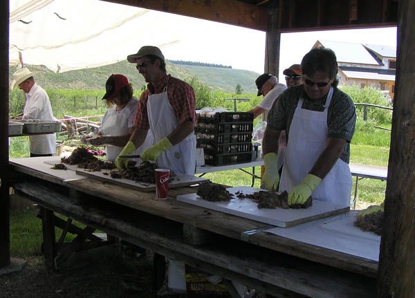 Cutting the Beef. Photo by Pinedale Online.