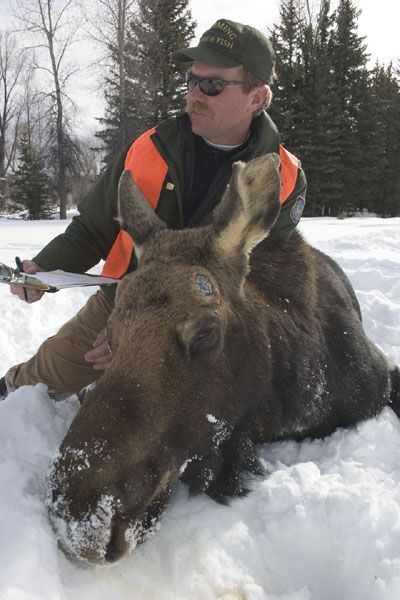 Scott Smith. Photo by Photo by Mark Gocke, Wyoming Game & Fish..