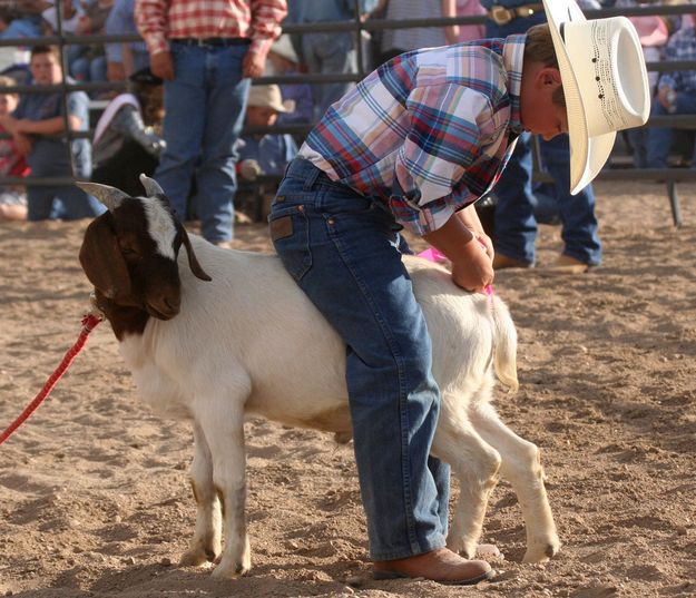 Micah Brown. Photo by Clint Gilchrist, Pinedale Online.