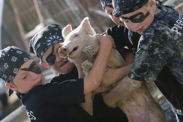 Pig Pirates. Photo by Photo by Tara Bolgiano, Blushing Crow Photography.