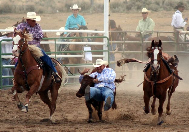 Steer Wrestling. Photo by Clint Gilchrist, Pinedale Online.