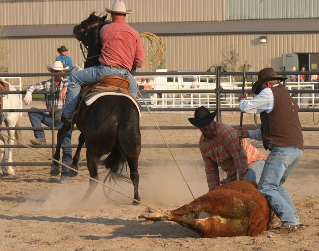 Branding. Photo by Clint Gilchrist, Pinedale Online.