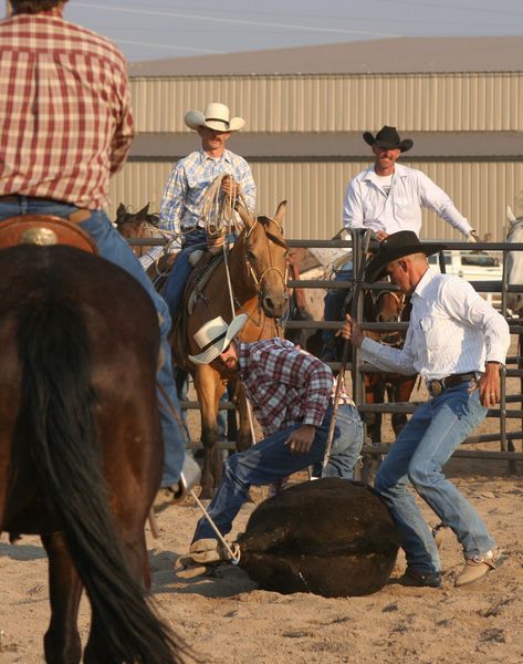 Branding. Photo by Clint Gilchrist, Pinedale Online.