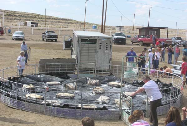 Getting the pen ready. Photo by Dawn Ballou, Pinedale Online.