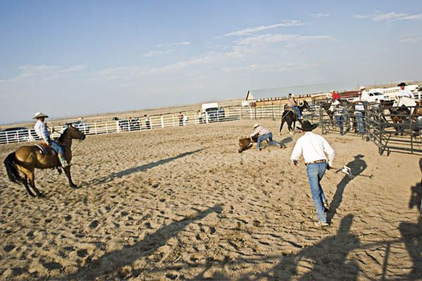 Ground cowboys run out. Photo by Tara Bolgiano, Blushing Crow Photography.