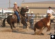 Turning the Heifer. Photo by Clint Gilchrist, Pinedale Online.