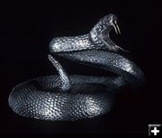 Rattlesnake. Photo by David Klaren.