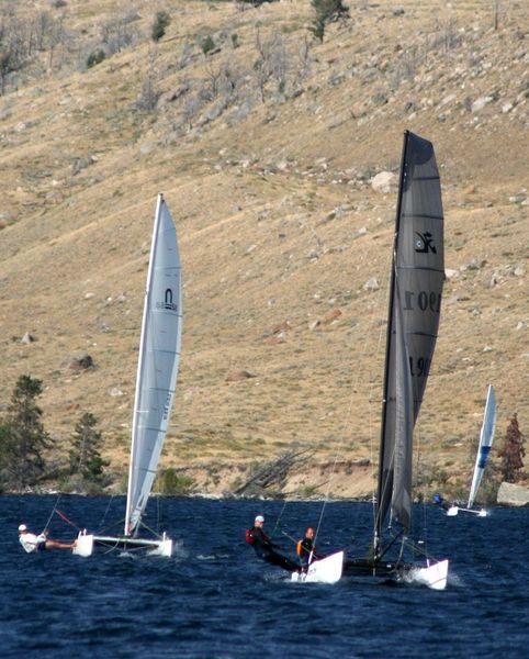 Racing Cats. Photo by Clint Gilchrist, Pinedale Online.