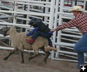 Gus Lozier. Photo by Clint Gilchrist, Pinedale Online.