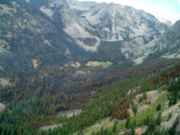 Jim Creek Valley. Photo by Mark Randall.