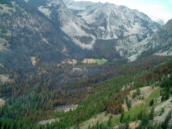 Jim Creek Valley. Photo by Mark Randall.