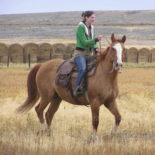 Gina's Ride. Photo by Dawn Ballou, Pinedale Online.