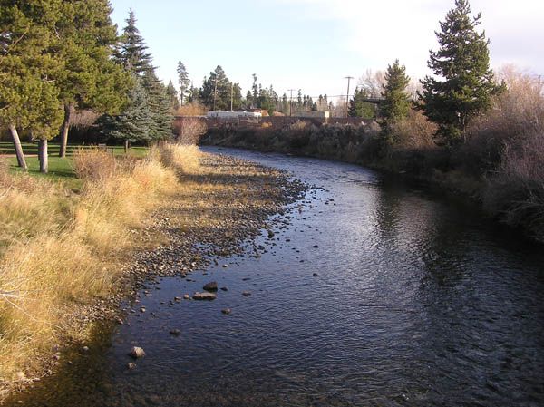 Pine Creek. Photo by Dawn Ballou, Pinedale Online.