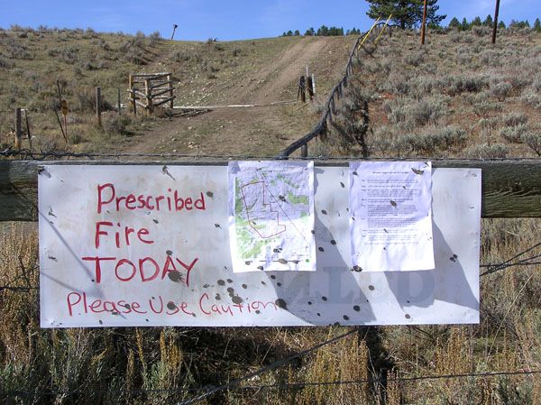 Prescribed Burn Today. Photo by Dawn Ballou, Pinedale Online.