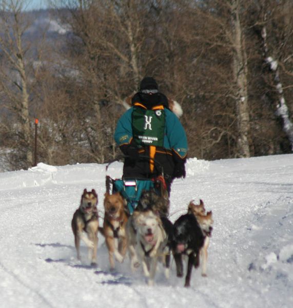 Robin Beall. Photo by Clint Gilchrist, Pinedale Online.